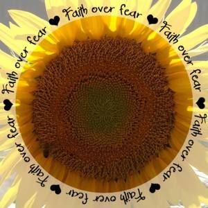 Meet your Posher, Kat